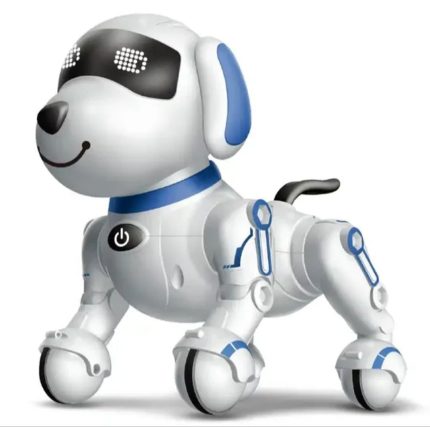 Interaktivni RC Robot Pas