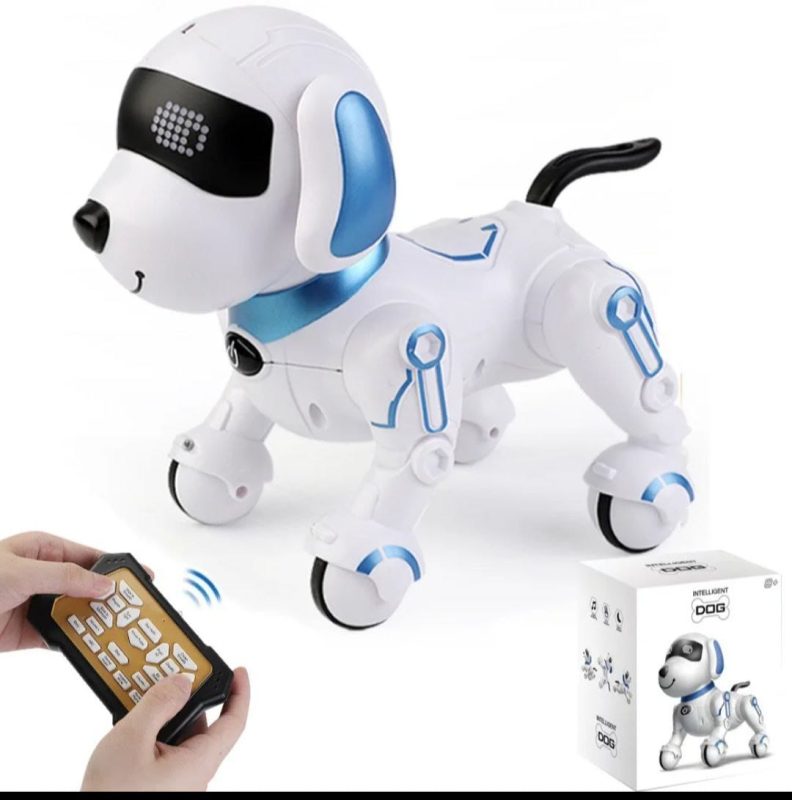 WhatsApp Image 2025 07 21 at 11.34.46 c199aa00 1