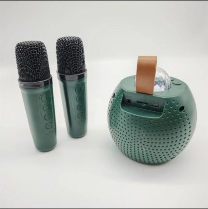 mikrofon za decu karaoke